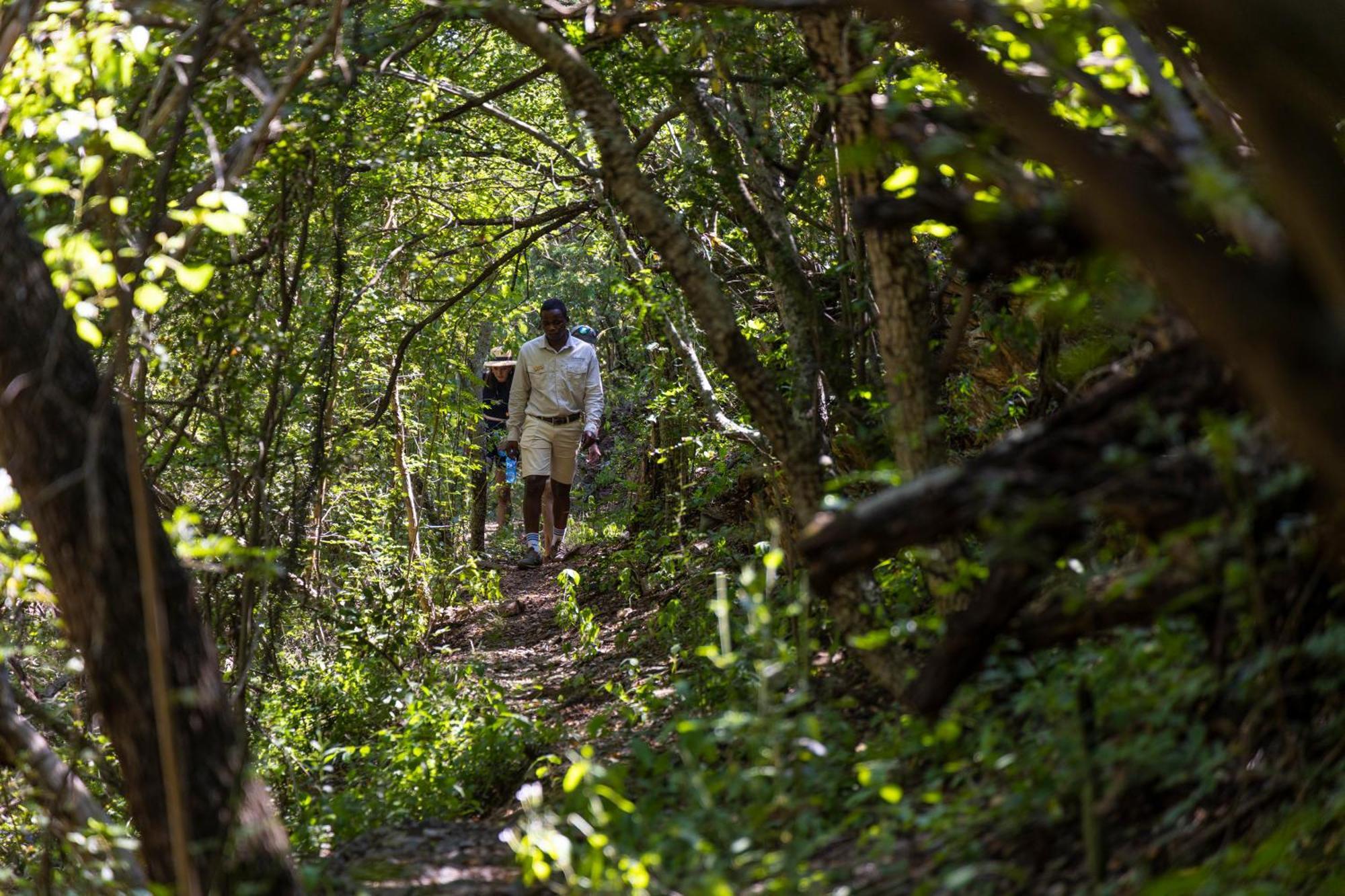 Matatane Camp - Babanango Game Reserve Nkwalini Ngoại thất bức ảnh